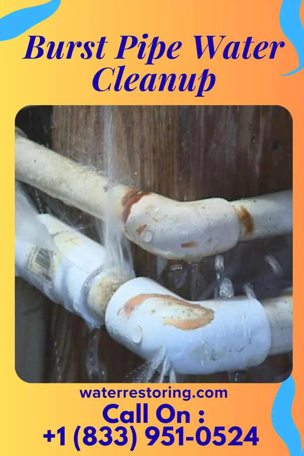Burst Pipe Water Cleanup in Tell City, IN